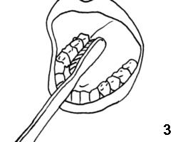 drawing three of brushing teeth